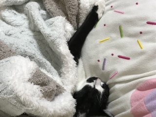 �Ƃ�ꂽ